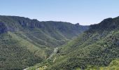 Trail Walking Massegros Causses Gorges - clauvel /Eglazine/St marcelin - Photo 2