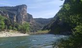 Tour Wandern Labastide-de-Virac - Les gorges par 1000 étoiles  - Photo 8