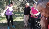 Tocht Stappen Castelnou - castel nous  - Photo 1