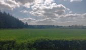 Randonnée Marche Jalhay - Solwaster sud - balade losange jaune - Photo 4