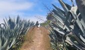 Tocht Stappen Prazeres - Paul do Mar - Levada nova - Photo 4