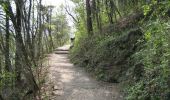Trail On foot Caslano - Giro/Tour Monte Caslano - Photo 5