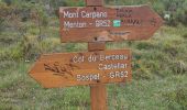 Trail Walking Castellar - mont carpano au départ de Castellar - Photo 4
