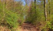 Tour Wandern Longpont - en forêt de Retz_77_Longpont_Puiseux en Retz_AR - Photo 14