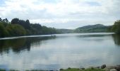 Percorso A piedi Sconosciuto - Castlewellan Forest Park - Slievenaslat Walk - Photo 4