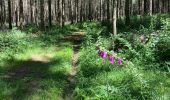 Trail Walking Houffalize - Les deux Ourthes au départ de Filly - Photo 10