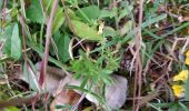 Tour Wandern Prugny - le Chaast - Photo 4