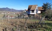 Excursión Senderismo Mittelwihr - Les perles du vignoble  : Mittelwihr - Beblenheim - Zellenberg - Hunawihr - Riquewihr. - Photo 12