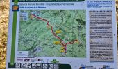 Tour Wandern Signes - Montée vers le plateau de la Limatte en partant de Signes  - Photo 7