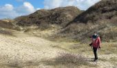 Trail Walking Cayeux-sur-Mer - Le Hourdel - Photo 4