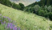 Randonnée Marche Vallouise-Pelvoux - Puy aillaud  - Photo 1