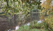 Randonnée Marche Martelange - Dans l’intimité d’une forêt  - Photo 2