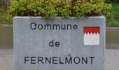 Randonnée Marche Fernelmont - 20211116 - TOTEMUS Hingeon 5.3 Km - Photo 20
