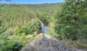 Tour Wandern Florenville - Azy-les épioux depuis Chassepierre - Photo 6