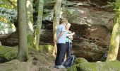 Excursión Senderismo Roppeviller - Roppewiler Rochers altschlossfelsen et Diane - Photo 14