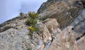 Trail Walking Sisteron - Trou de l'argent - Photo 4