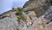 Randonnée Marche Sisteron - Trou de l'argent - Photo 4