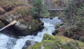 Randonnée Marche Triberg im Schwarzwald - Cascade de Triberg 30.10.22 - Photo 2