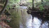 Tour Zu Fuß Kirchzell - Rundwanderweg Kirchzell 4: Drei-Täler-Weg - Photo 1