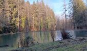 Trail Walking Theux - tillot . hodbomont . mont . wisselez . tillot - Photo 16
