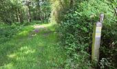 Trail Walking La Chapelle-Enchérie - La Chapelle-Enchérie - Les Haies - Photo 11