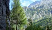 Trail On foot Vermiglio - Sentiero della scalaza - Photo 5