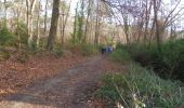Trail Walking Oissel - 20220111-Oissel-Les Essarts - Photo 13