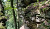 Tour Wandern Fels - Larochette-Scheidgen - Photo 2