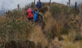 Percorso Marcia Otavalo - ascension Fuya Fuya 4230 - Photo 4