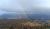 Trail Walking La Chapelle-en-Vercors - Serre Plumé  - Photo 15