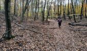 Trail Walking Fontainebleau - Butte de Franchard 17 novembre 2023 - Photo 2