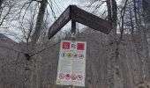 Tocht Stappen Opi - Val Fondillo - Passo dell’Orso e ritorno - Photo 4