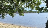 Tocht Stappen Montsauche-les-Settons - Tour du lac des Settons.  - Photo 2