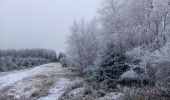 Trail Walking Theux - dans le givre de Crambon  - Photo 1