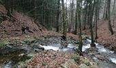 Tocht Stappen Jalhay - pont de Belheid - Photo 3