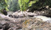 Randonnée Marche Petit-Bourg - Guadeloupe - Saut de la Lézarde - Photo 8