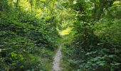 Randonnée Marche Fleury-Mérogis - Fleury-Méfrogis - Forêt Régionale de Saint-Eutrope - Photo 18