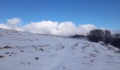 Tour Wandern Woll - sentier de névé  le hohneck - Photo 7