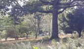Tour Wandern Esneux - arboretum . pisserotte . anc carrière . targnon . villers aux tours . chapelle simon . arboretum - Photo 1