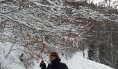 Tocht Sneeuwschoenen Azet - st Lary voiture puis col d'Aspin en raquettes - Photo 10