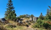 Trail Walking Metzeral - Petit-Ballon via Col du Hilsenfirst - Photo 19