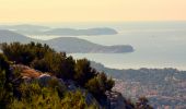 Tour Wandern Toulon - Plateau du faron - Photo 6