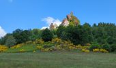Trail Walking Dabo - Dabo - Col de la Schleif - Roskopf - Photo 13