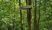 Trail Walking Pollionnay - Polionnay croix du Ban col la Luère  - Photo 6
