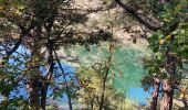 Trail Walking Esparron-de-Verdon - Autour d esparon - Photo 13