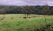 Percorso Marcia Messancy - La Charmouthienne_boucle_Sélange_14km_20190929 - Photo 8