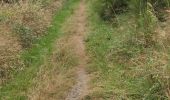 Tour Wandern Geilich - la ferme de la Hé Cierreux - Photo 9