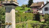 Excursión A pie Stäfa - Stäfa-ein Dorf bewegt: Frohberg - Torlen - Photo 6