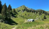 Randonnée Marche Châtel - Les Mattes - Photo 3