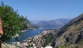 Trail Walking Unknown - Kotor - Photo 3